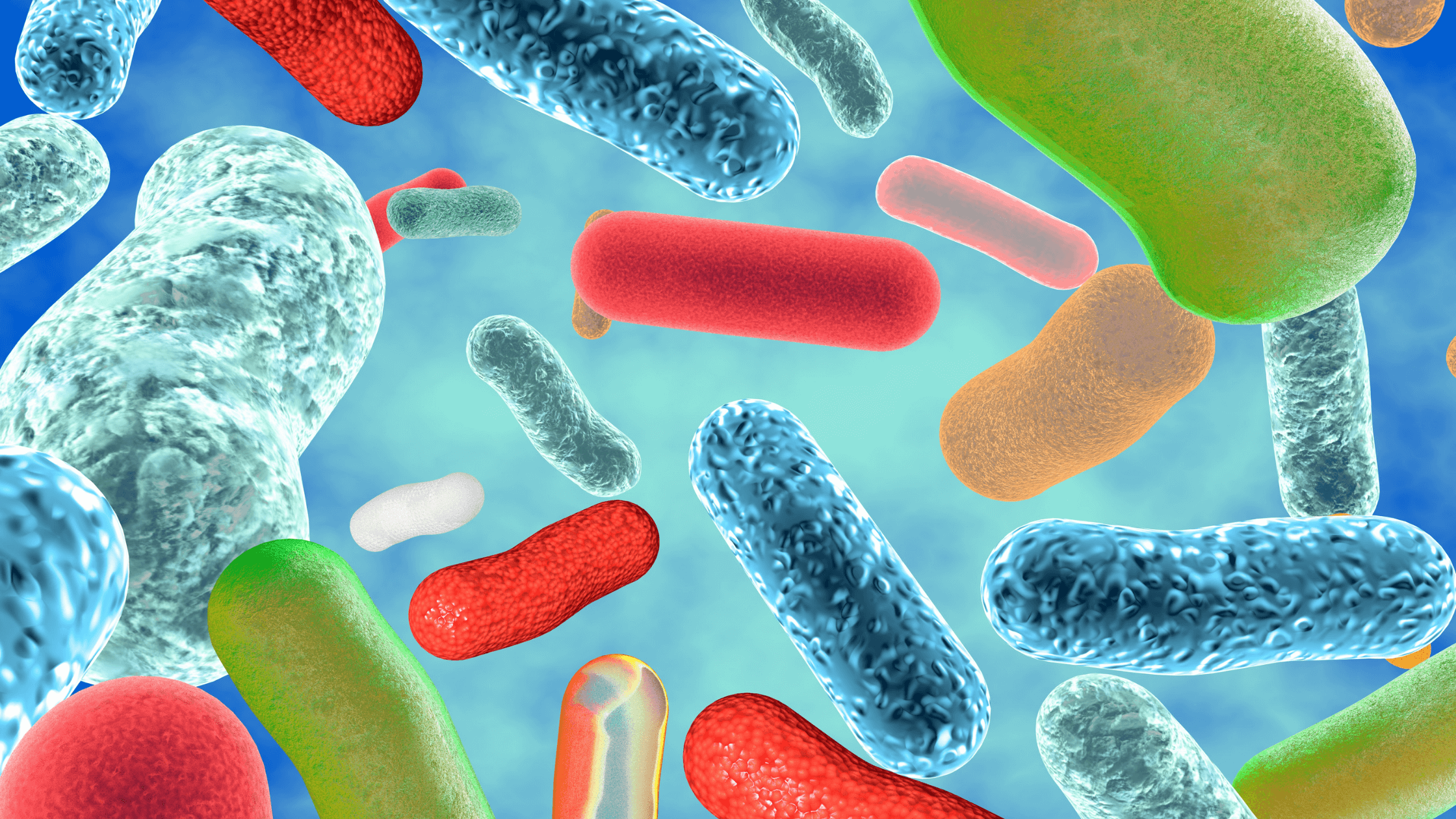 Ingredient Spotlight: Our 8-Strain Probiotic Blend