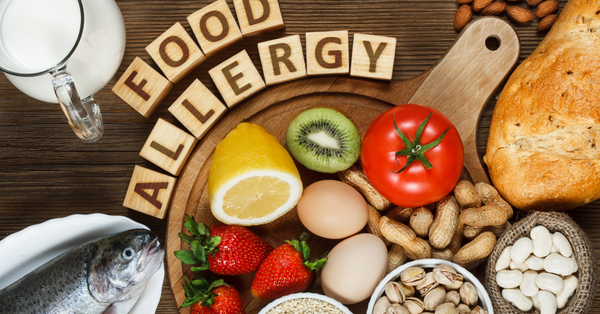 Food Allergies in Dogs: What You Need to Know