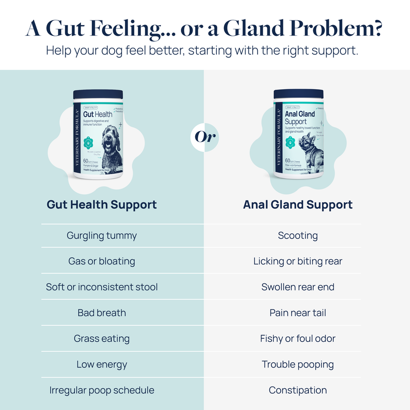 Anal Gland Support Supplement