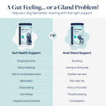 Gut Health Supplement