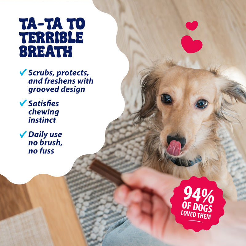 Dental Treats