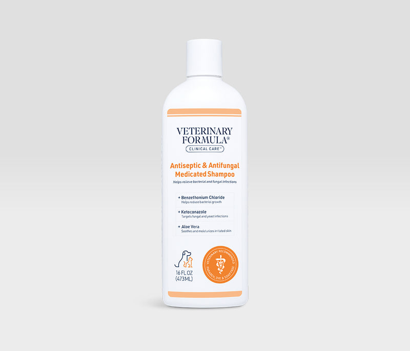 Antiseptic & Antifungal Medicated Shampoo