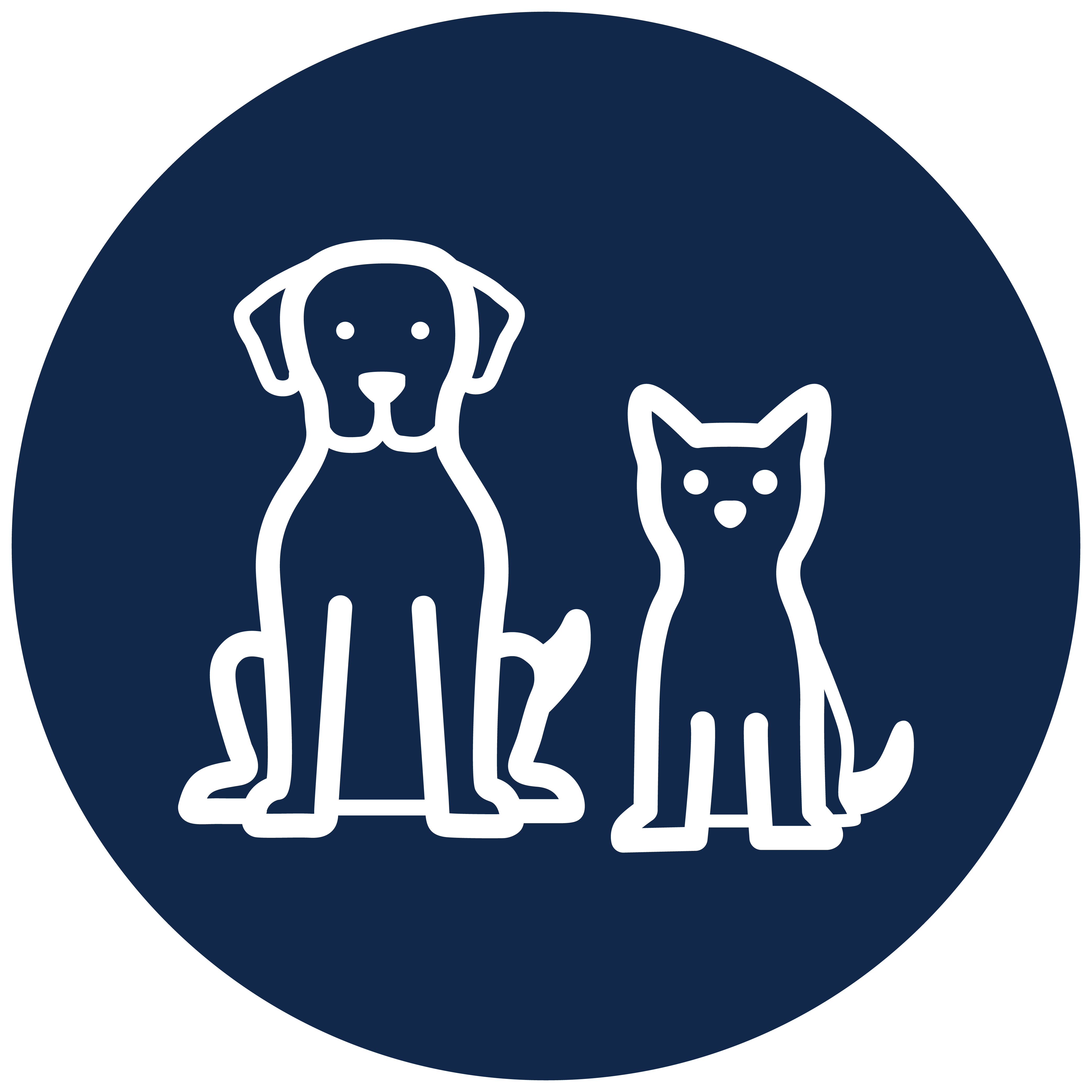 For Dogs & Cats