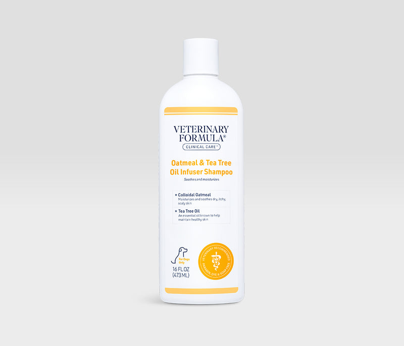 Oatmeal & Tea Tree Oil Infuser Shampoo