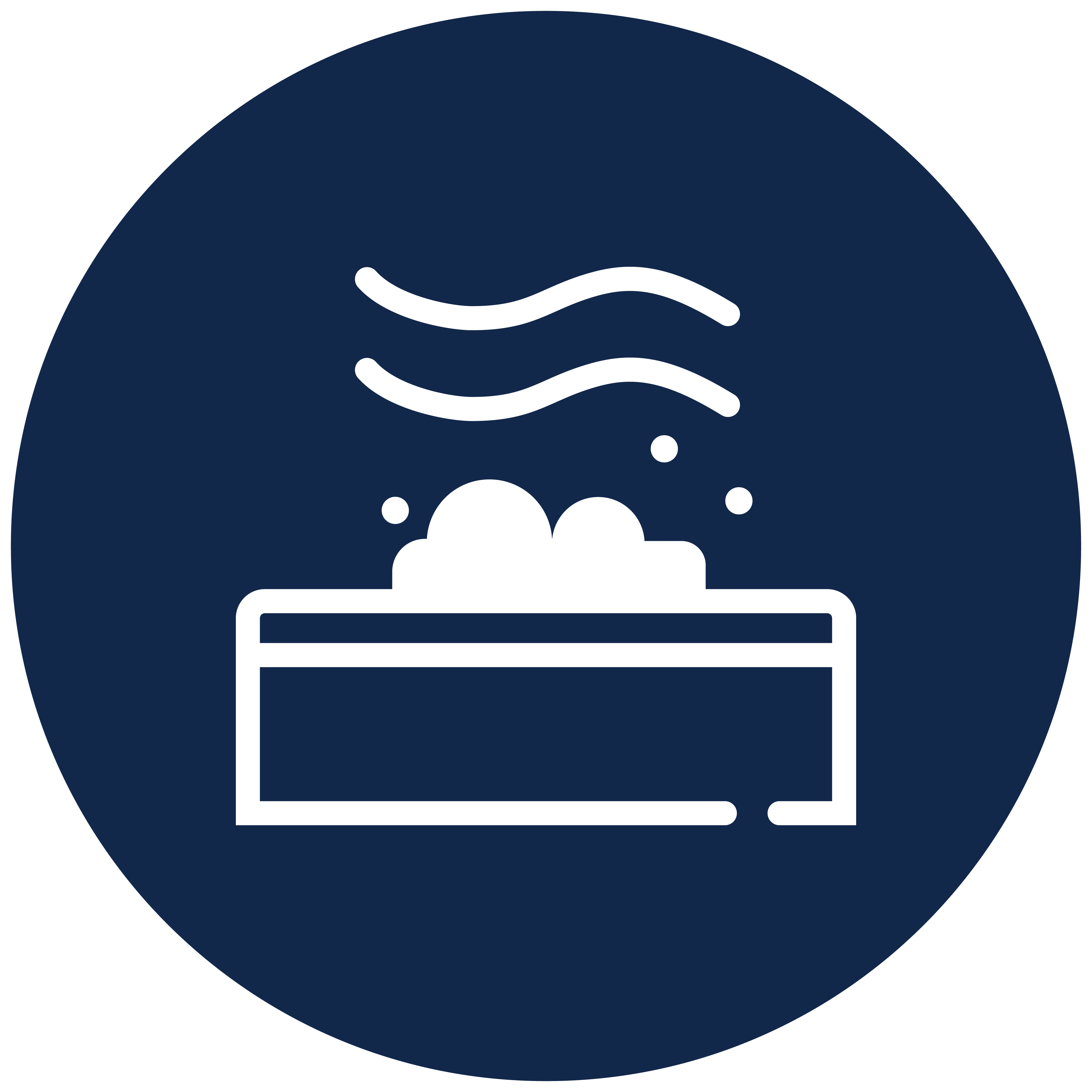 Cleans & Conditions