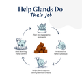 Anal Gland Support Supplement