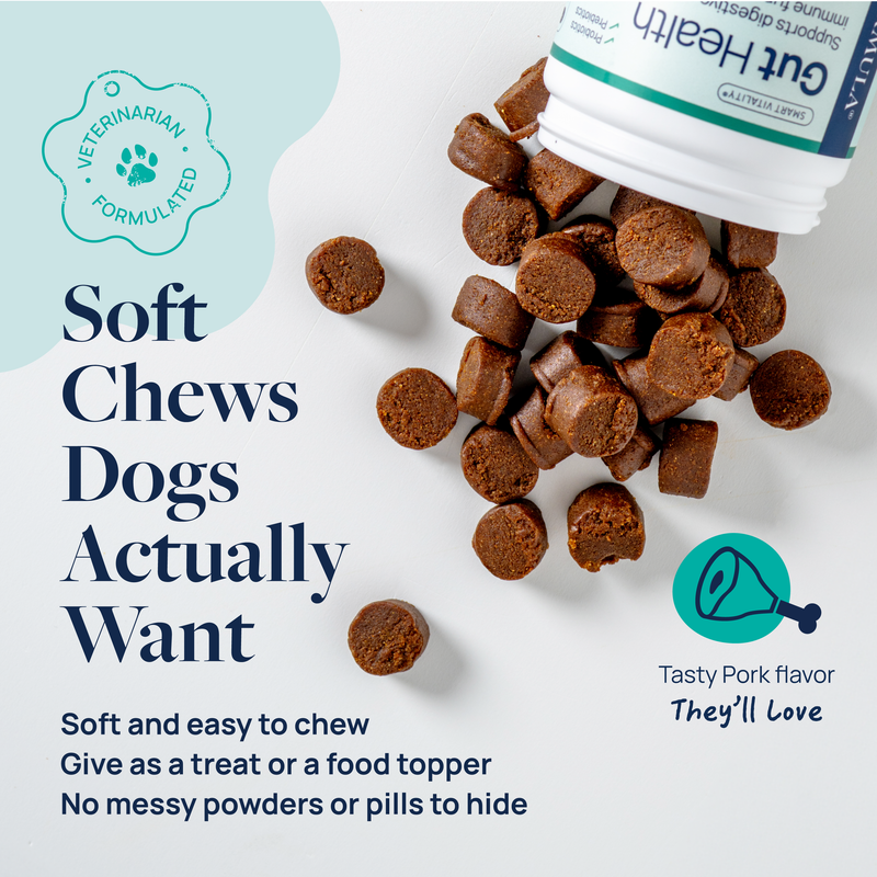 Gut Health Supplement