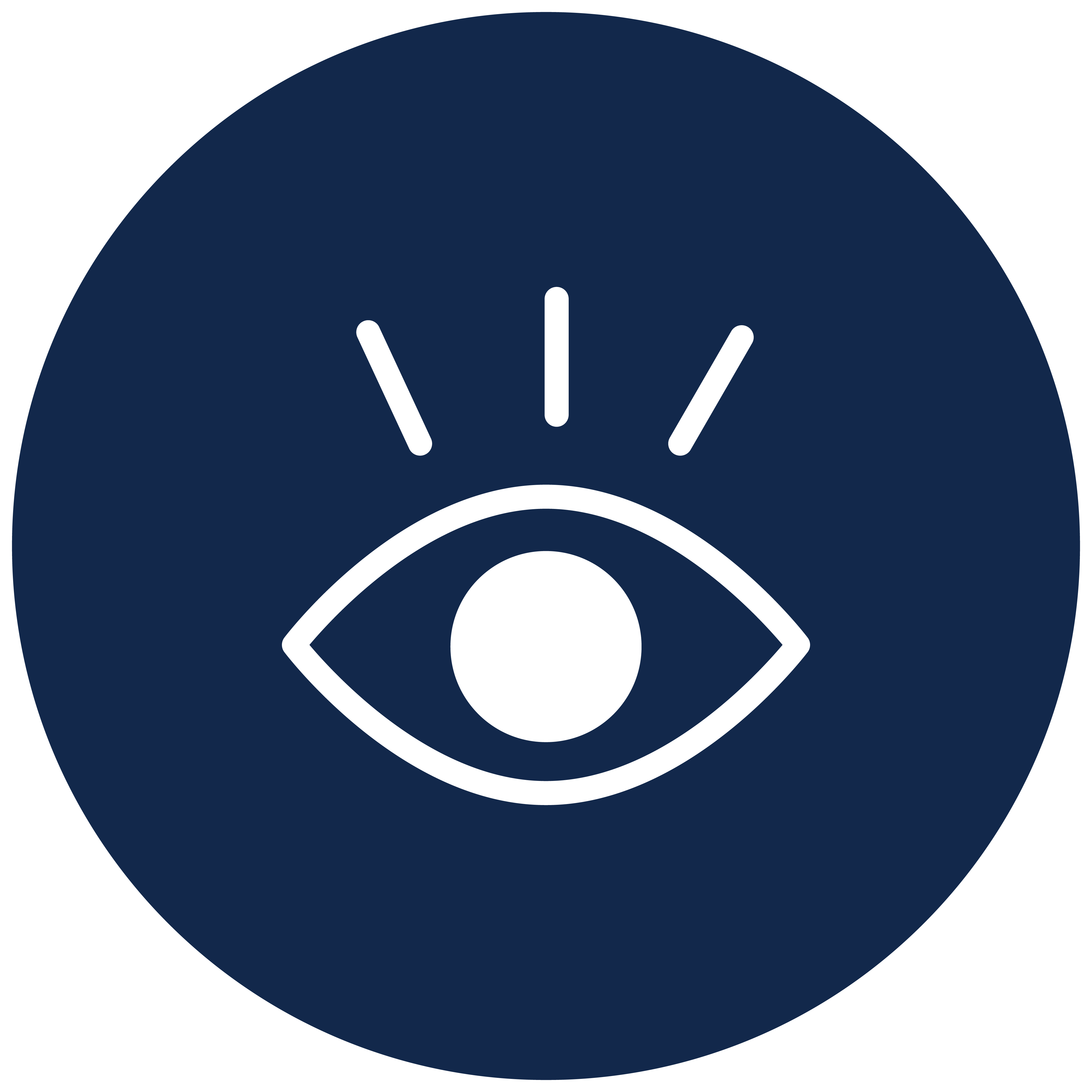 Whole Eye Health