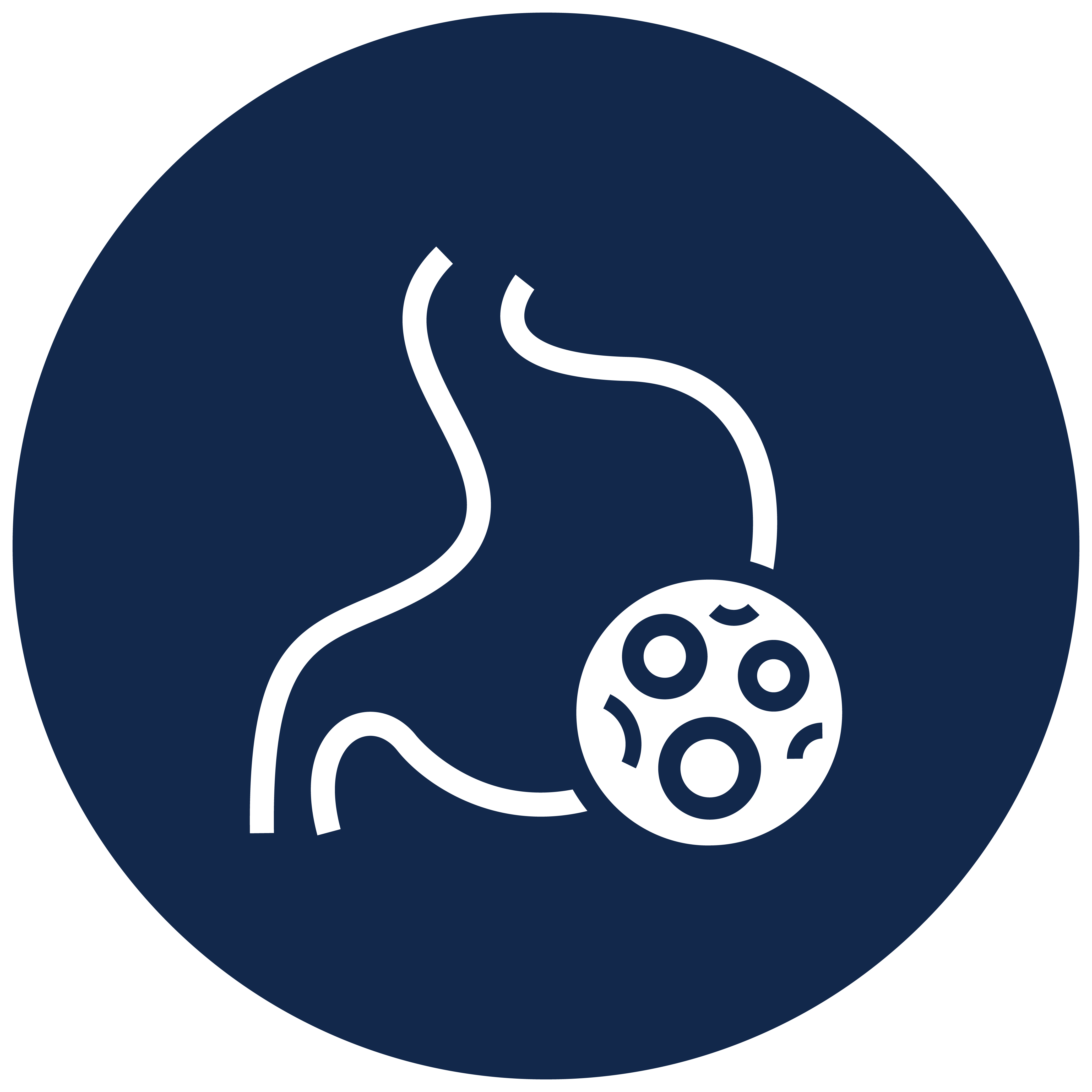 Digestive Enzymes