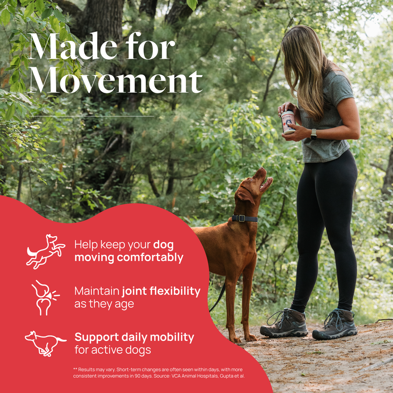 Hip & Joint Supplement