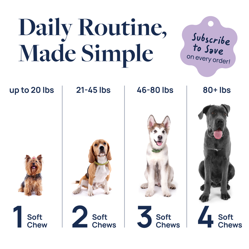 Pet Calm Supplement