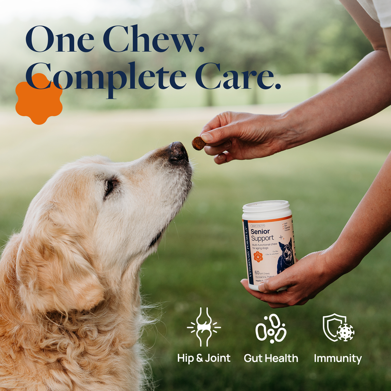 Senior Support Supplement