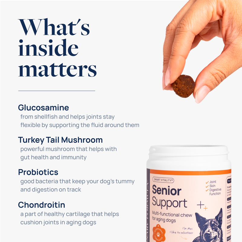 Senior Support Supplement