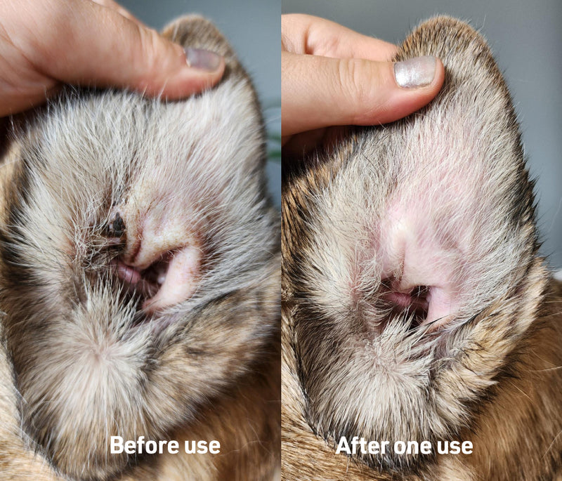 Ear Therapy Wipes