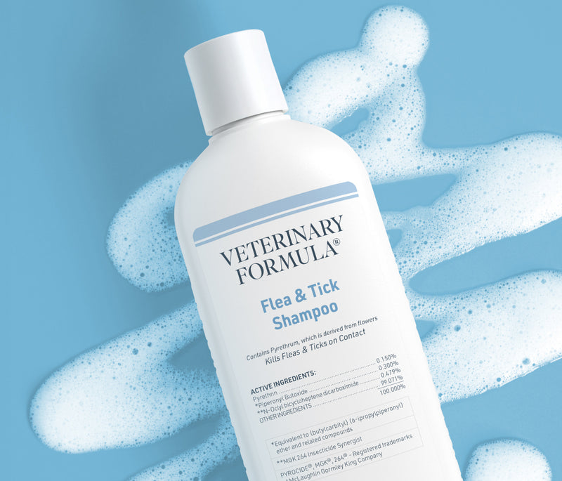 Flea & Tick Shampoo