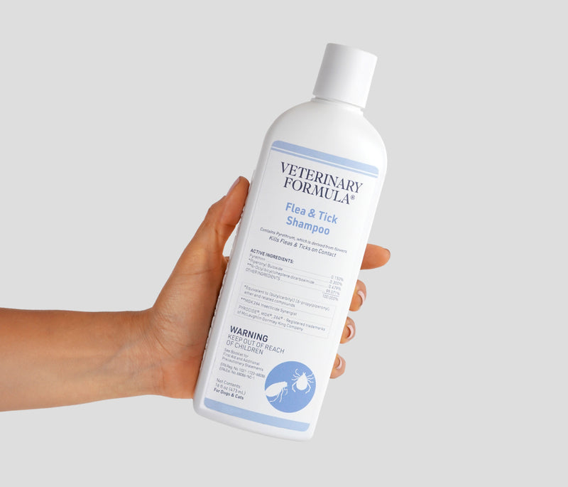 Flea & Tick Shampoo
