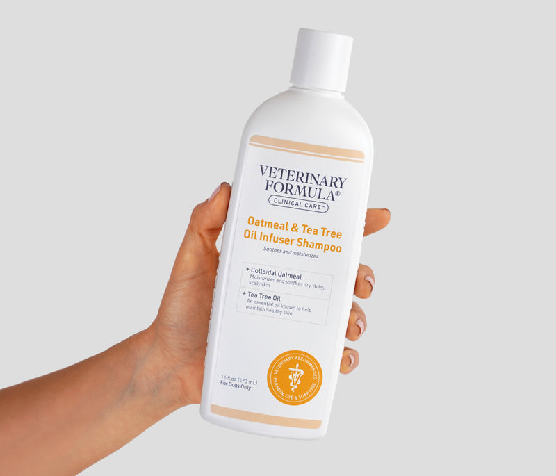 Oatmeal & Tea Tree Oil Infuser Shampoo