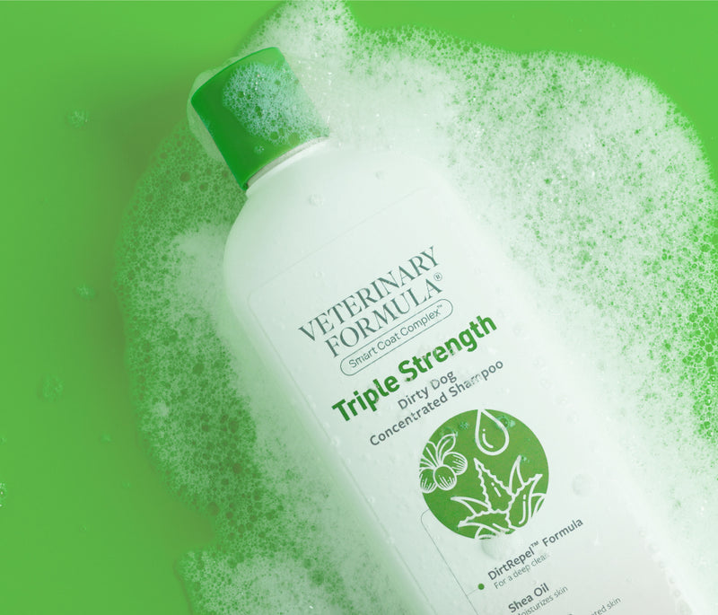Triple Strength Dirty Dog Shampoo
